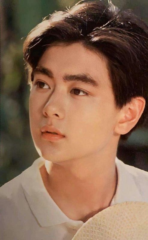 Lâm Chí Dĩnh thời trẻ