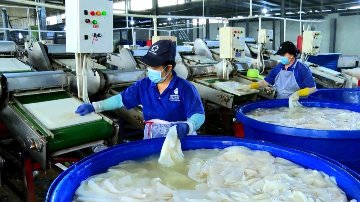 Nghị quyết thể hiện rõ quan điểm, chủ trương giảm chi phí, giảm rủi ro và tạo niềm tin cho doanh nghiệp