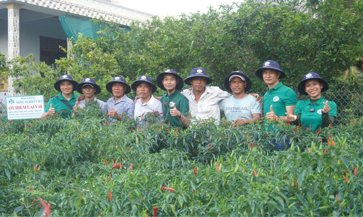 Nhờ áp dụng khoa học- kỹ thuật, đổi mới sáng tạo giúp nông dân tăng thu nhập trên một đơn vị diện tích 