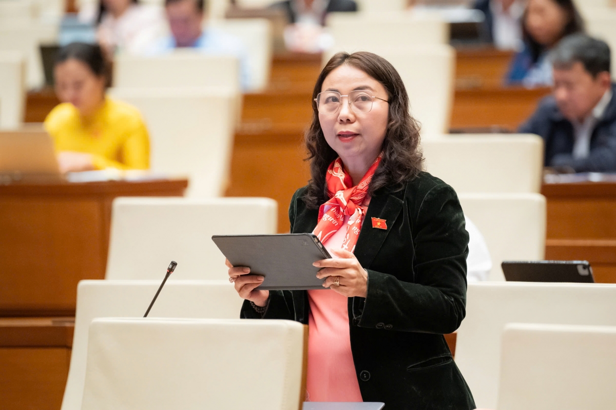 ĐBQH Phạm Thị Hồng Diễm, đoàn Vĩnh Long (Ảnh: Quốc hội)