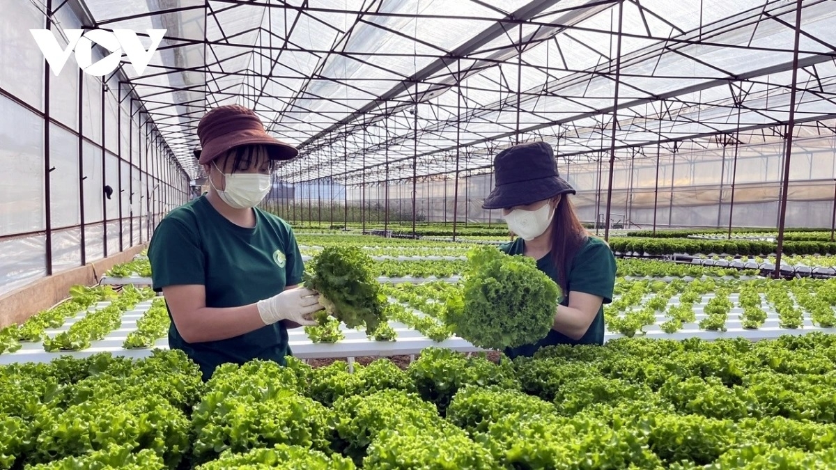 Doanh nghiệp chuyển đổi xanh đáp ứng nhu cầu thị trường