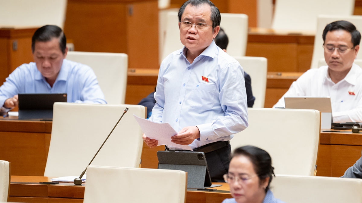 Đại biểu Nguyễn Tâm Hùng (đoàn TP.HCM)