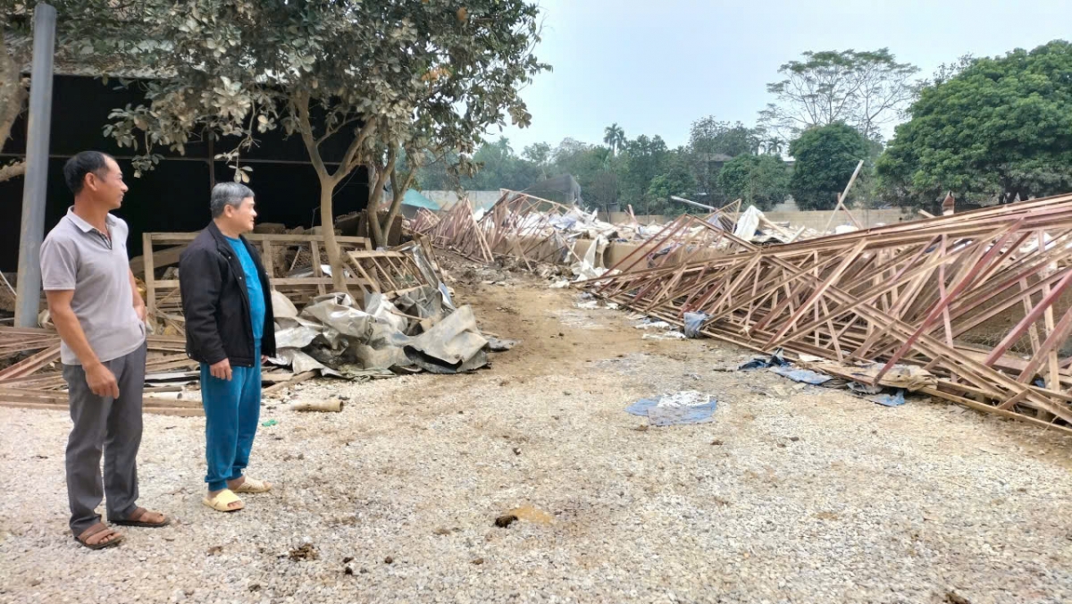 Sau lũ, nhiều chuồng trại của người dân bị hư hại, cuốn trôi khiến việc tái đàn gặp không ít khó khăn