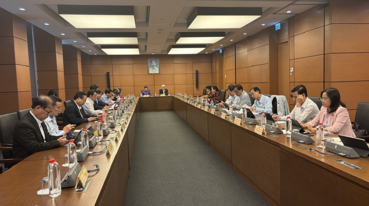 Đoàn TP.HCM tại phiên thảo luận tổ ngày 3/12.