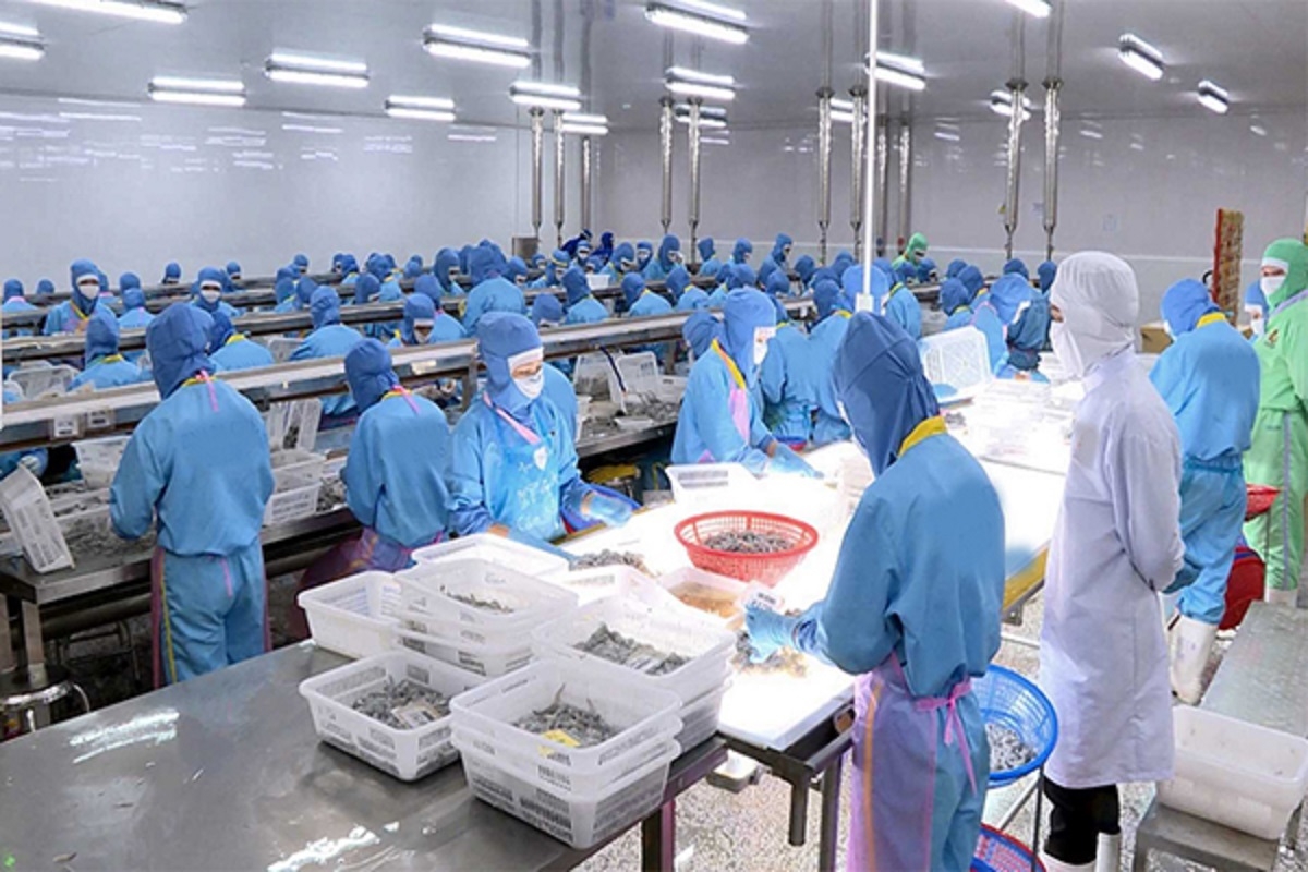 Tổng kim ngạch XK thủy sản được dự báo đạt 11,2 - 11,3 tỷ USD