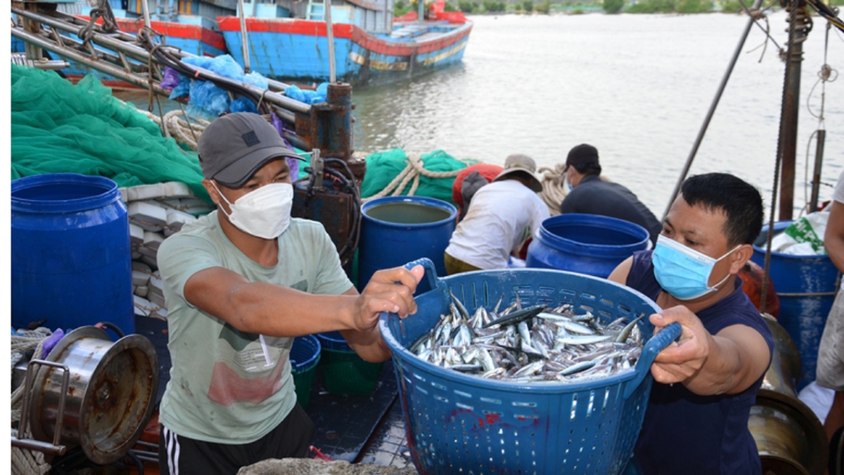 Với sự vào cuộc quyết liệt của các lực lượng chức năng, ý thức ngư dân đã thay đổi rõ rệt - Ảnh: VGP/Lưu Hương