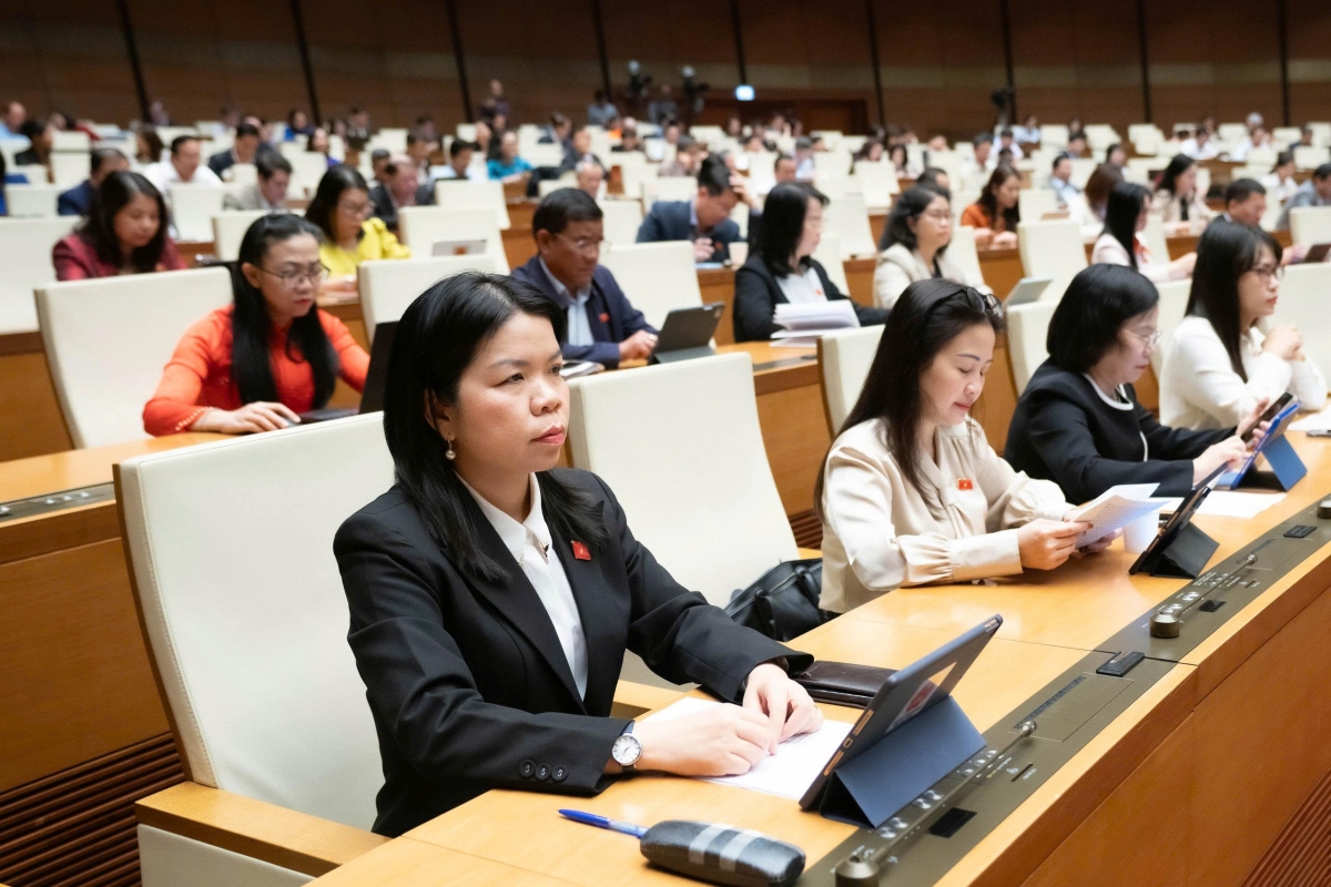 ĐBQH tham gia biểu quyết thông qua luật. Ảnh Quốc hội