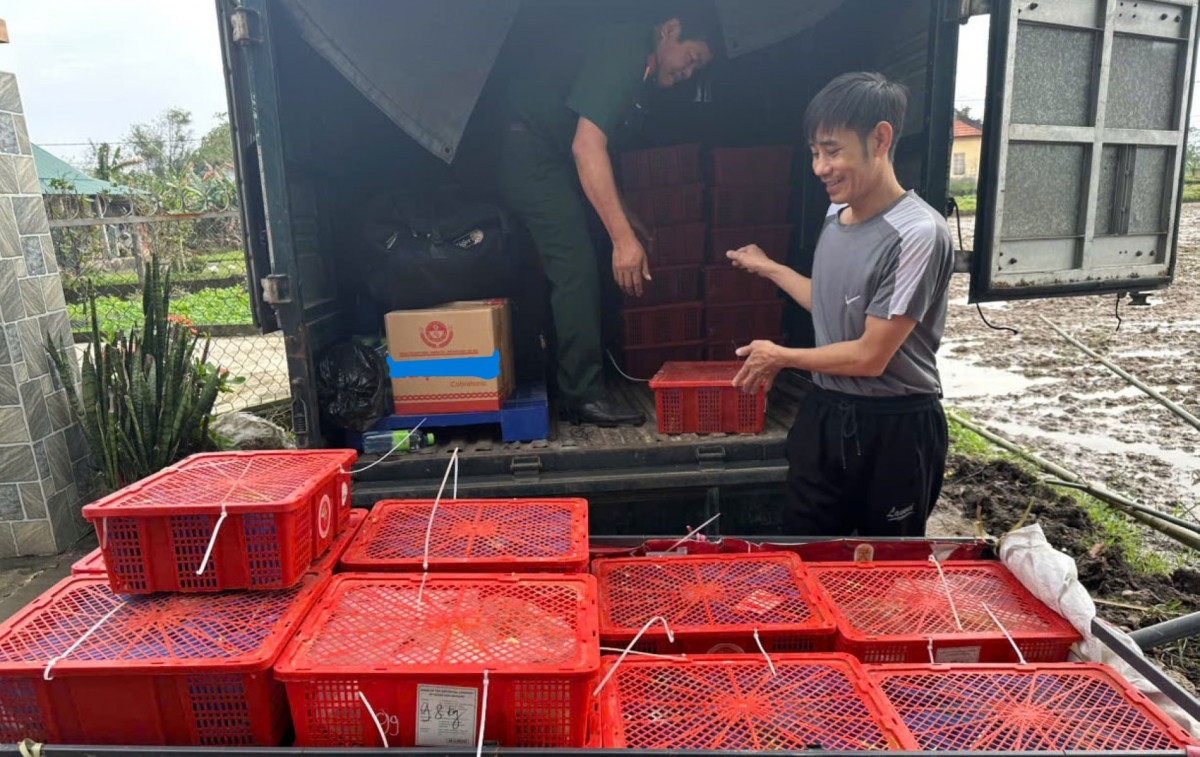 Toàn bộ số rắn được bàn giao cho Trại rắn Đồng Tâm