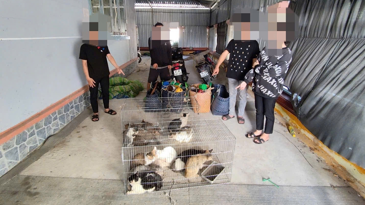 Các đội tượng bẫy trộm mèo bị công an xã Quới Thiện bắt giữ