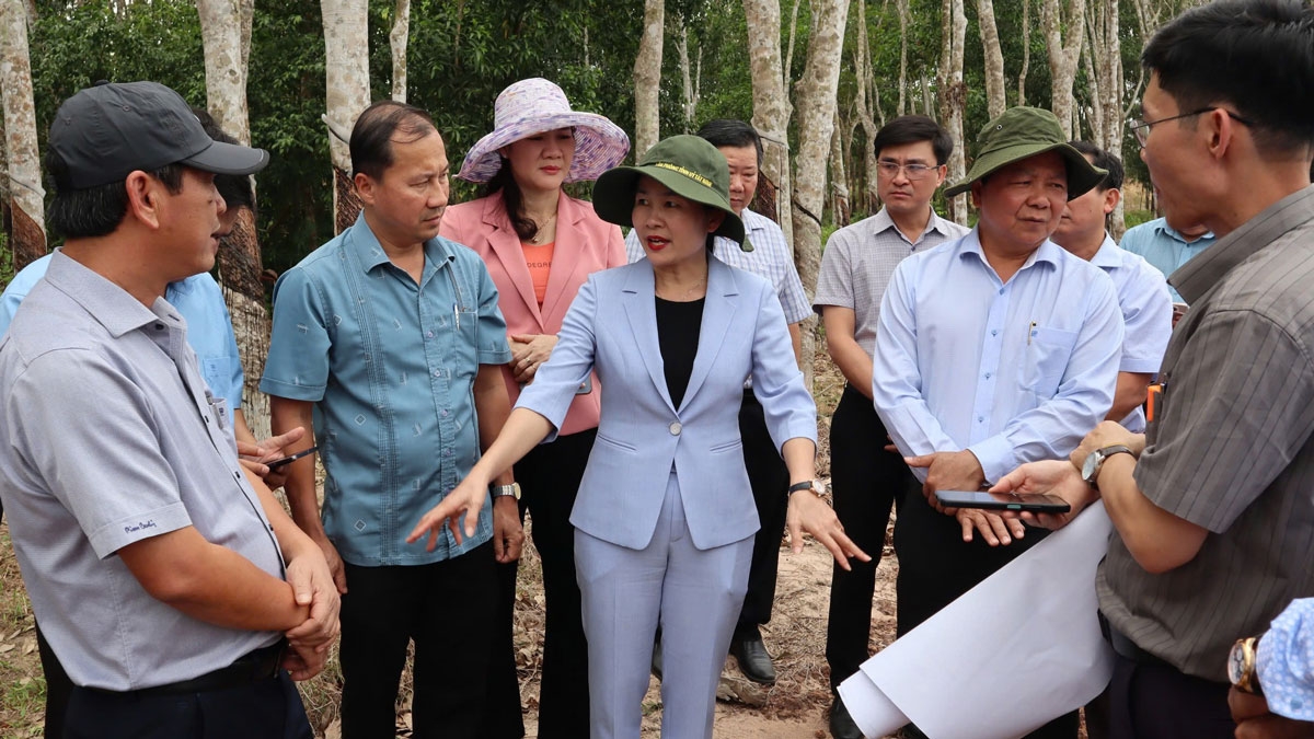 Lãnh đạo tỉnh Đồng Nai khảo sát triển khai các dự án giao thông trọng điểm (ảnh: HG)