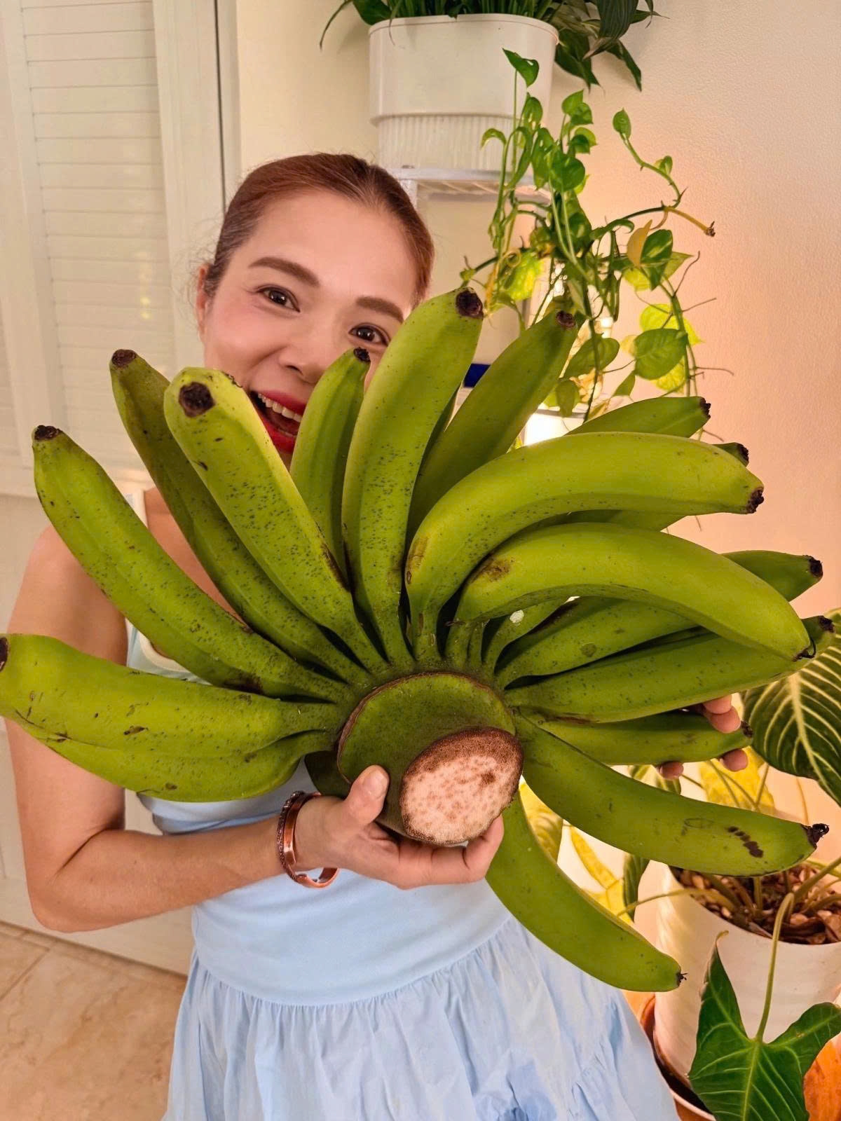 Ca sĩ Mỹ Lệ được khen “mát tay” khi trồng chuối, dứa, bí đỏ... sai lúc lỉu, quả nào cũng to, nặng và đẹp. Cô khoe nải chuối nặng gần 8 kg vừa cắt từ khu vườn ở TP.HCM.