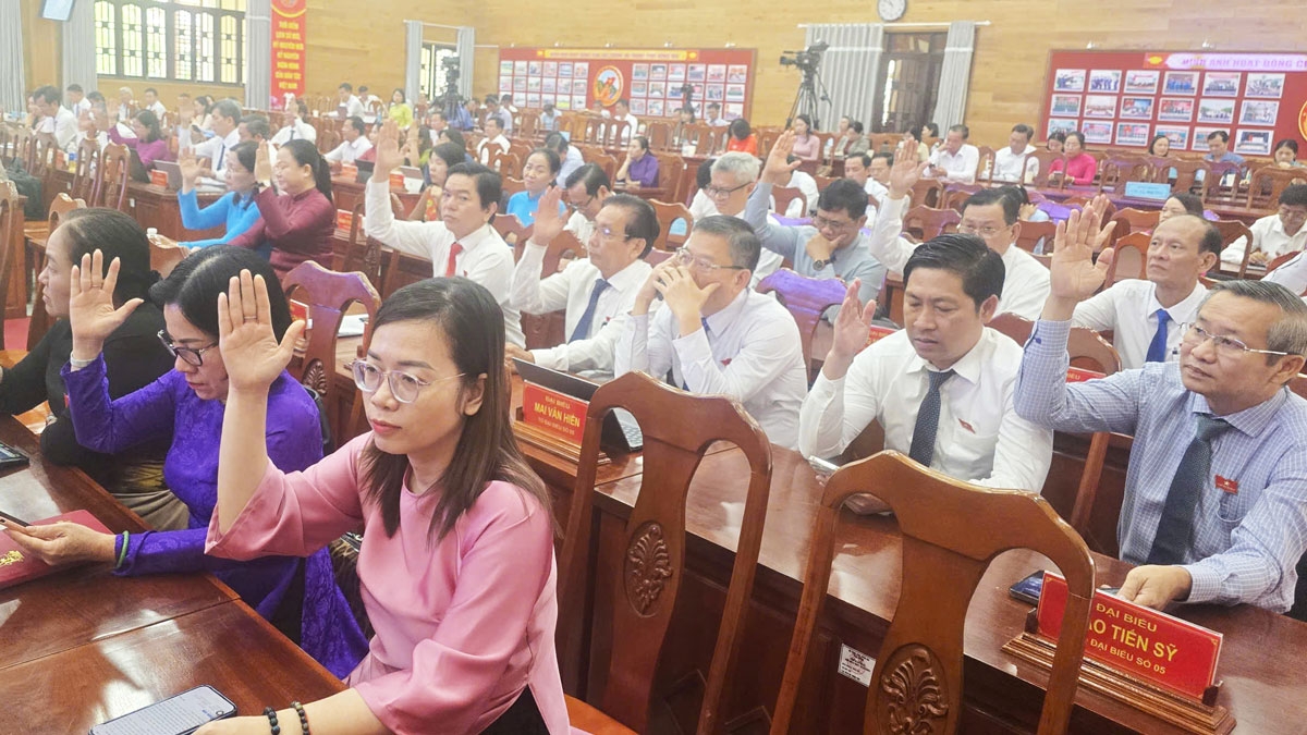 Các đại biểu biểu quyết thông qua các nghị quyết 