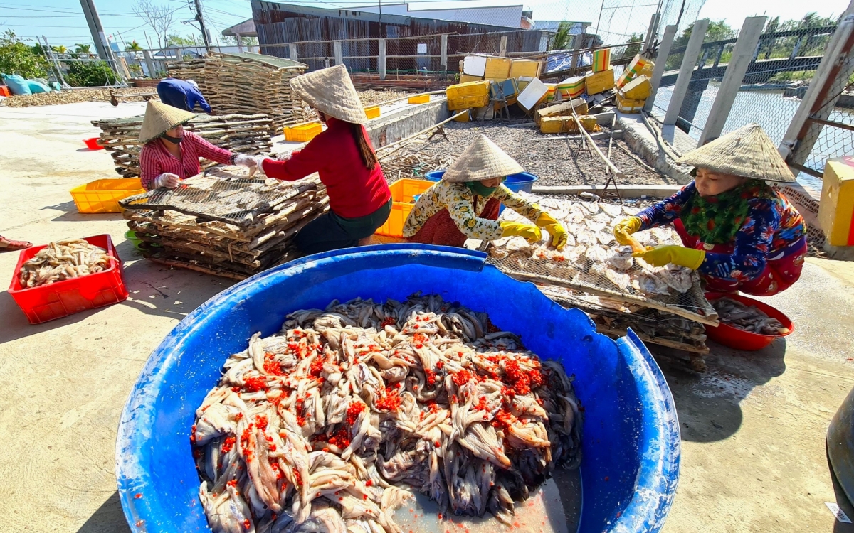 Làng nghề biển Cái Đôi Vàm luôn tất bật mỗi dịp Tết đến