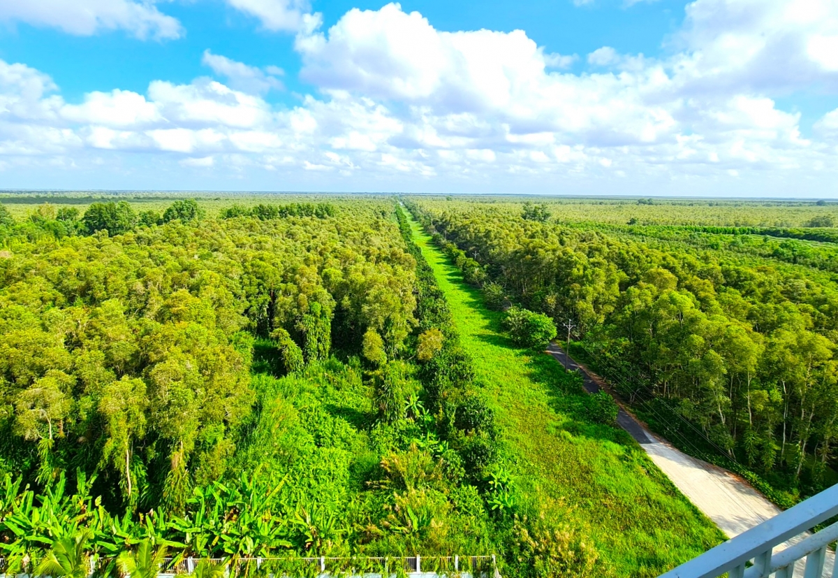 2 Vườn Quốc gia U Minh hạ rộng 8.500 ha là một hệ sinh thái đặc trưng nổi tiếng của tỉnh Cà Mau