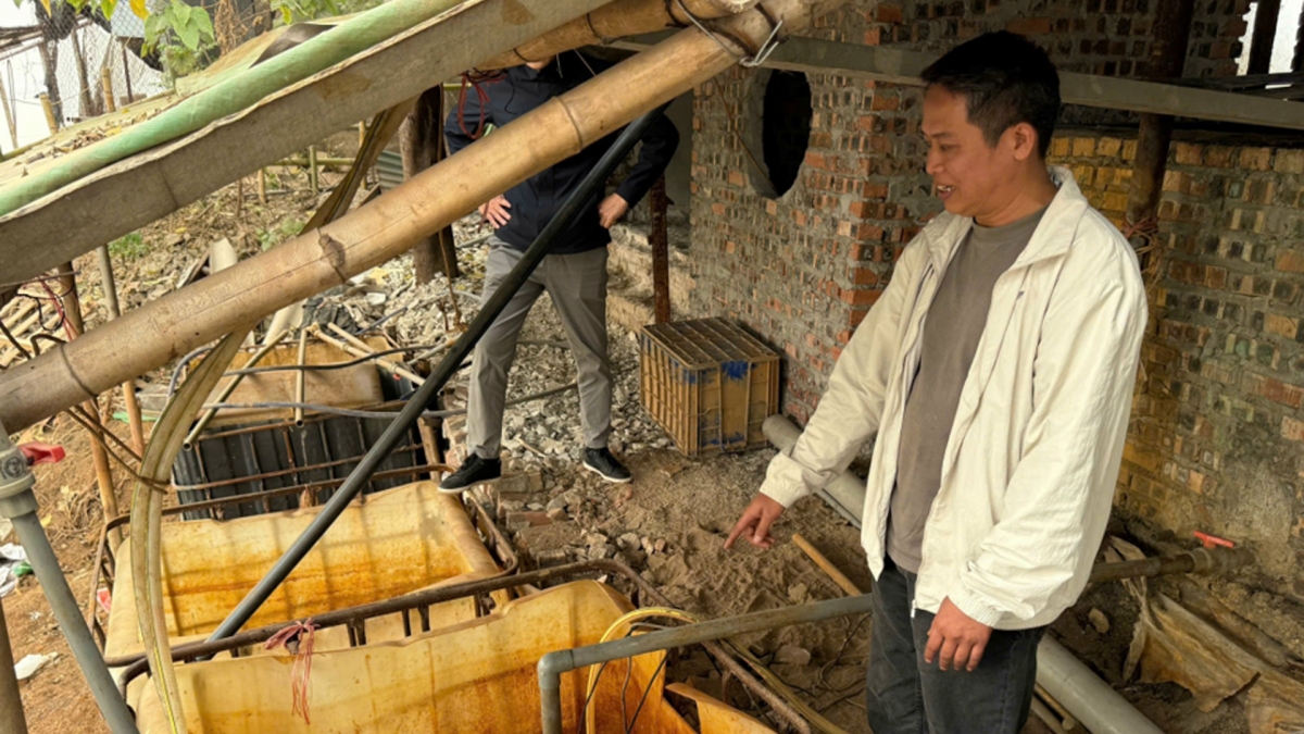 Hai xưởng phân kim trái phép bị phát hiện gồm: một xưởng do Nguyễn Văn Long (SN 1980, trú tại tỉnh Thái Nguyên) và Nguyễn Minh Tân (SN 1966, trú tại Hà Nội) làm chủ; xưởng còn lại do Nguyễn Phong Vũ (SN 1976, trú tại phường Vĩnh Tuy, Hà Nội) điều hành. Các cơ sở này đều không được cấp phép, hoạt động âm thầm ven sông Đuống.