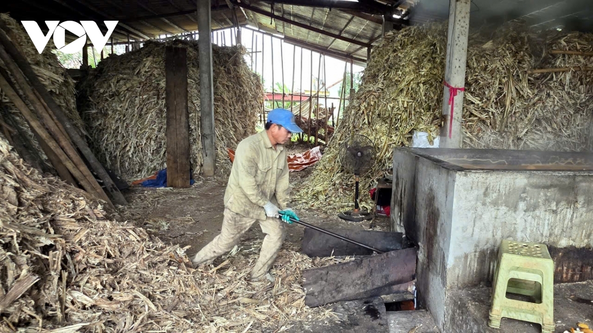 Fuelled by dry firewood or compressed sugarcane bagasse, furnaces are carefully tended to maintain steady heat as the juice begins to boil. Producers closely monitor the process to ensure the sugarcane juice simmers evenly without overflowing, marking the first stage of concentration in molasses production.