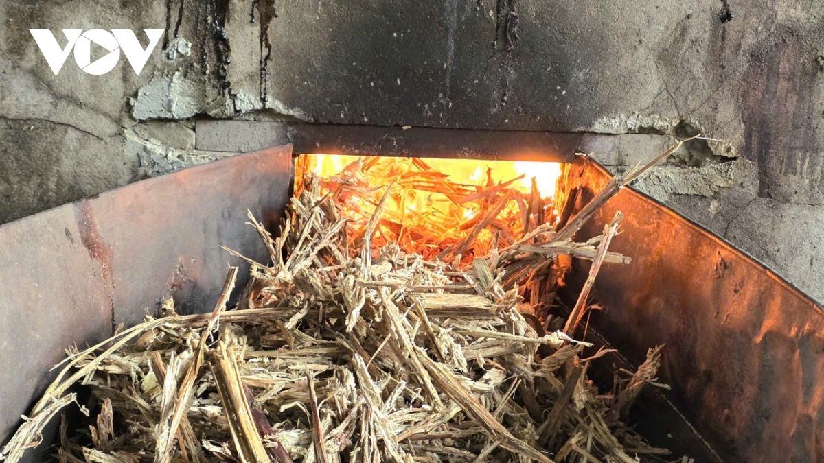 The peak sugarcane molasses season in Thach Binh commune typically begins in the 10th lunar month and runs through the end of the 12th lunar month. During this period, households are at their busiest, preparing fuel, furnaces and carefully selected raw materials to meet rising market demand ahead of the Lunar New Year.