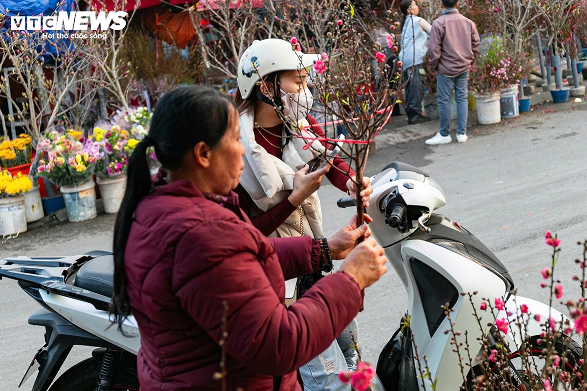 “Buying flowers early helps bring the feeling of the Lunar New Year (Tet) closer,” says Thanh Lan, a Hanoi resident who visits flower markets from late in the 11th lunar month each year.