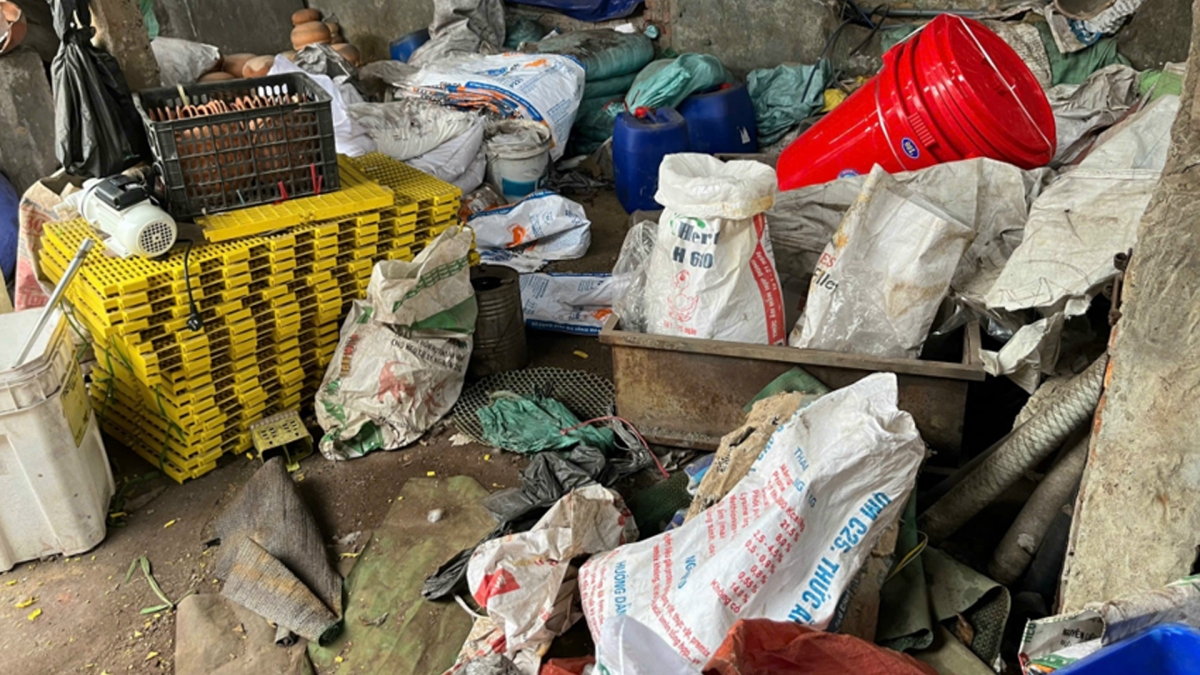 Quá trình điều tra xác định, từ tháng 6/2025, Long và Tân góp vốn thuê khu đất khoảng 500m² ven sông Đuống để dựng xưởng phân kim trái phép, thu gom phế phẩm từ chế tác trang sức và linh kiện điện tử không rõ nguồn gốc nhằm tách kim loại quý như vàng, bạc. Hoạt động này sử dụng nhiều hóa chất độc hại như axit sulfuric, axit nitric, oxy già…, phát sinh lượng lớn nước thải và chất thải rắn nguy hại.