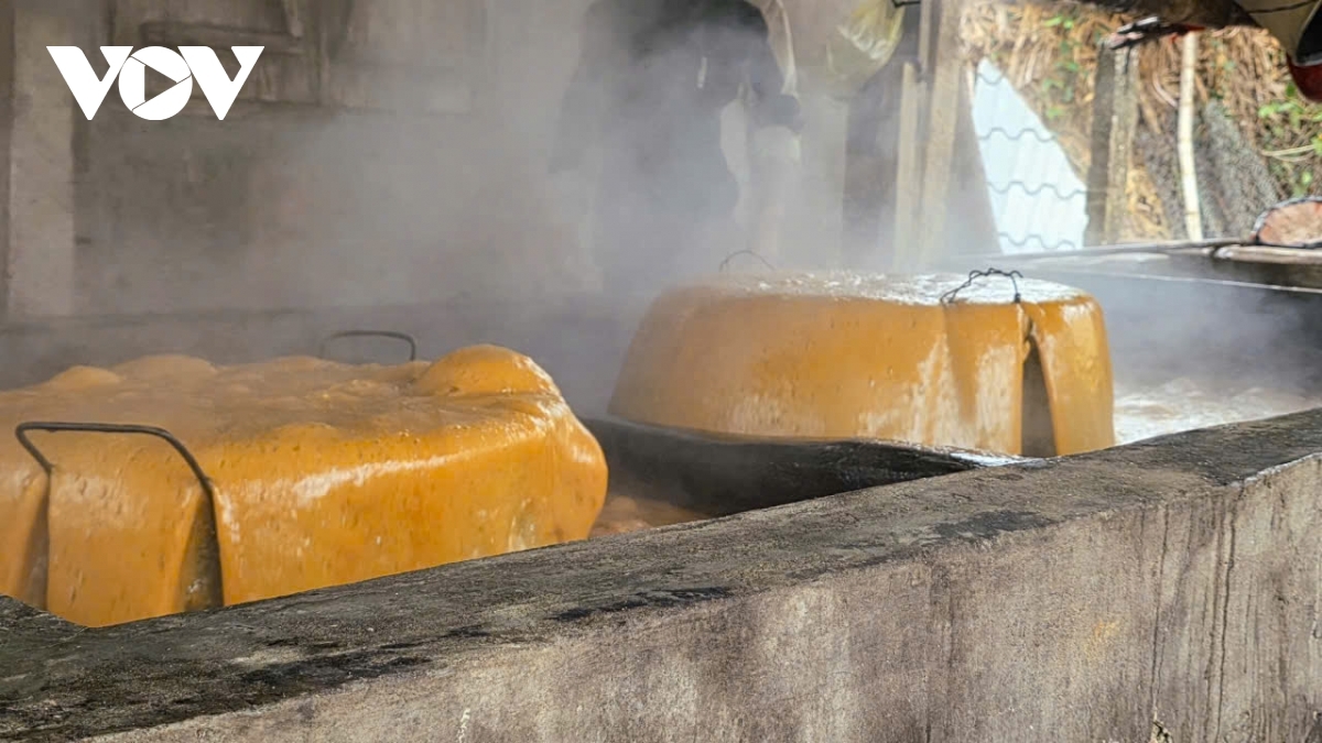 Each batch of molasses typically requires about three tonnes of sugarcane and involves continuous high-heat boiling and stirring for around eight hours. During the process, producers skim off foam once the juice reaches a certain temperature to ensure clarity and colour. When the molasses reaches the desired thickness, the heat is turned off and the product is left to cool before bottling.