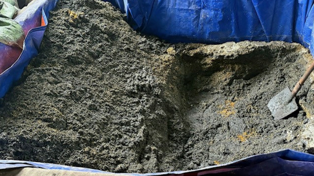 Toàn bộ chất thải trong quá trình phân kim đều bị các đối tượng chỉ đạo đổ trực tiếp ra môi trường ven sông Đuống, với khối lượng ước tính từ 3 đến 4 tấn, đặc biệt nguy hiểm khi khu vực này nằm gần Nhà máy nước mặt sông Đuống. Các đối tượng khai nhận, lợi nhuận thu được từ hoạt động phân kim trái phép dao động từ 10–20 triệu đồng mỗi tháng.