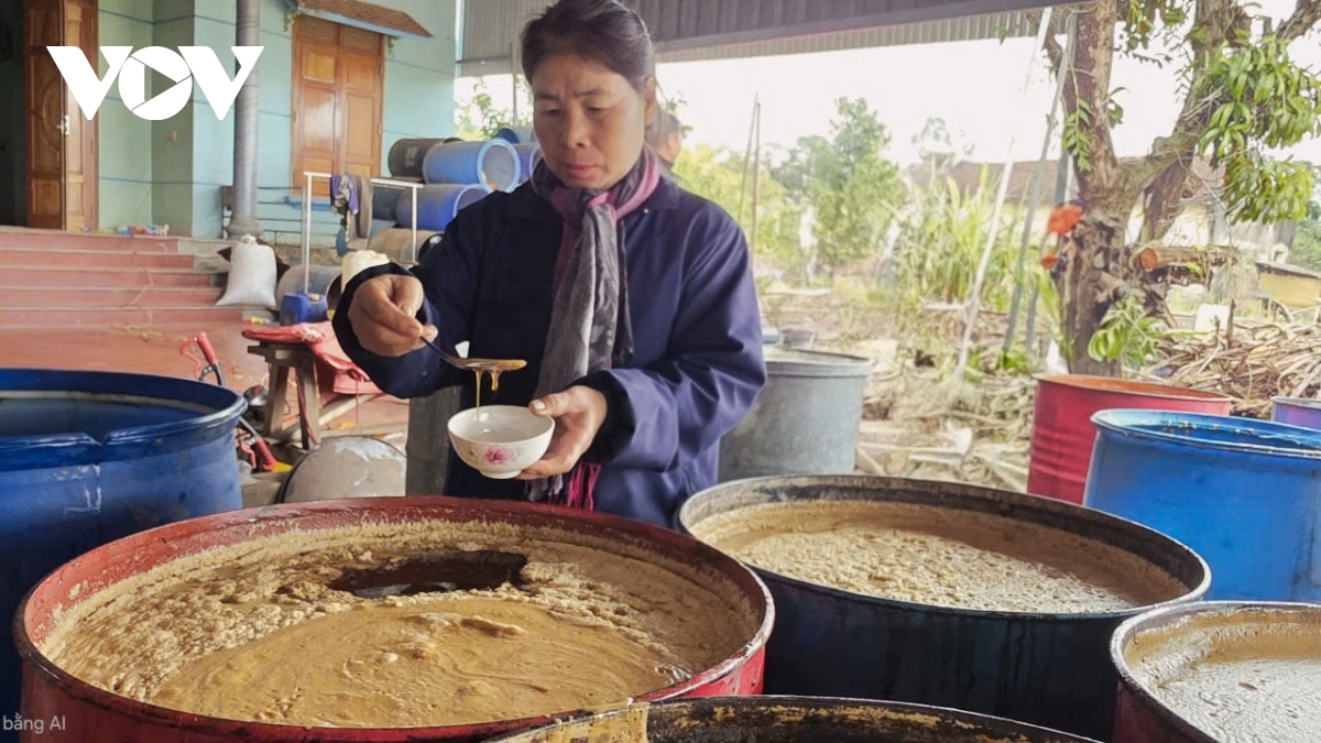 The reputation of the craft village’s sugarcane molasses rests on traditional manual techniques and the dedication of producers, according to local industry leaders. Tao Thi Cuc, director of the Thach Son Sugarcane Molasses Cooperative says harvesting and pressing are decisive stages. Sugarcane must be pressed immediately after arrival and only in quantities sufficient for same-day processing to prevent the juice from turning sour.