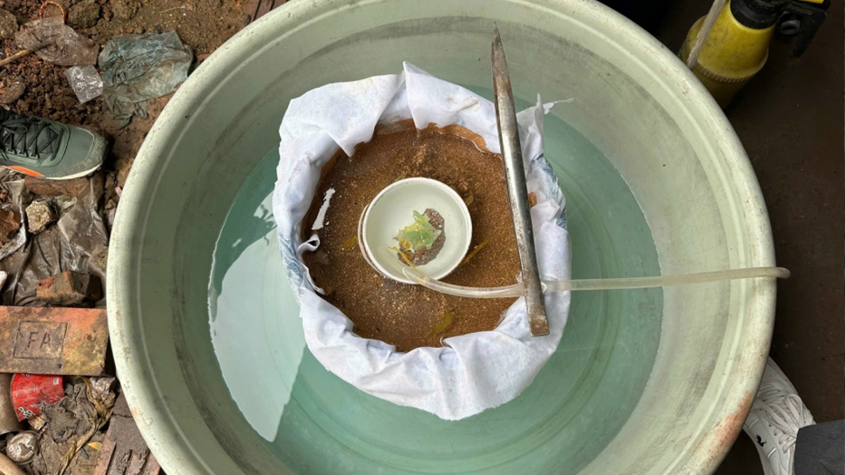 Kết quả giám định của Viện Khoa học Công nghệ Năng lượng và Môi trường xác định toàn bộ số chất thải bị thu giữ đều là chất thải nguy hại theo quy chuẩn quốc gia. Căn cứ tài liệu, chứng cứ thu thập được, Cơ quan Cảnh sát điều tra CATP Hà Nội đã ra quyết định tạm giữ hình sự các đối tượng liên quan, thể hiện quyết tâm xử lý nghiêm vi phạm môi trường, góp phần bảo vệ sông Đuống và môi trường sống an toàn cho Nhân dân Thủ đô.