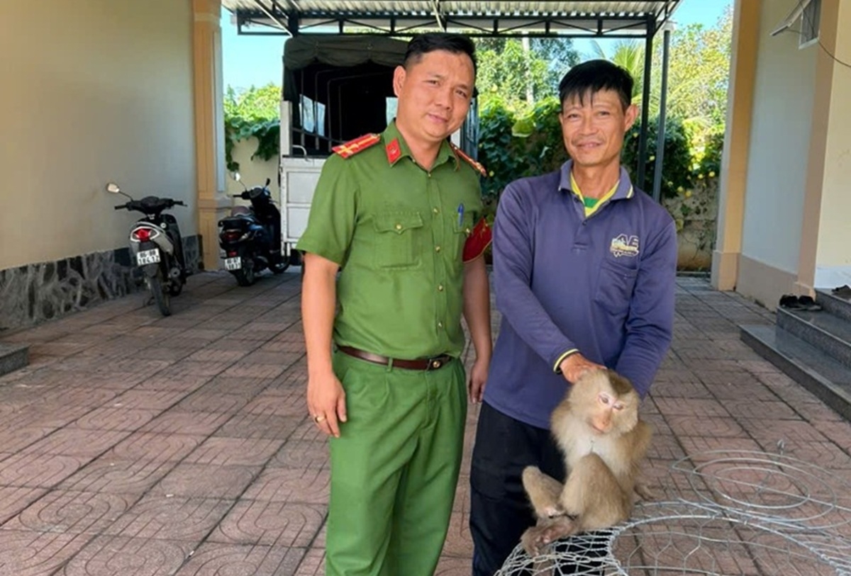 Ông Lanh giao nộp cá thể khỉ cho công an. Ảnh: CALĐ