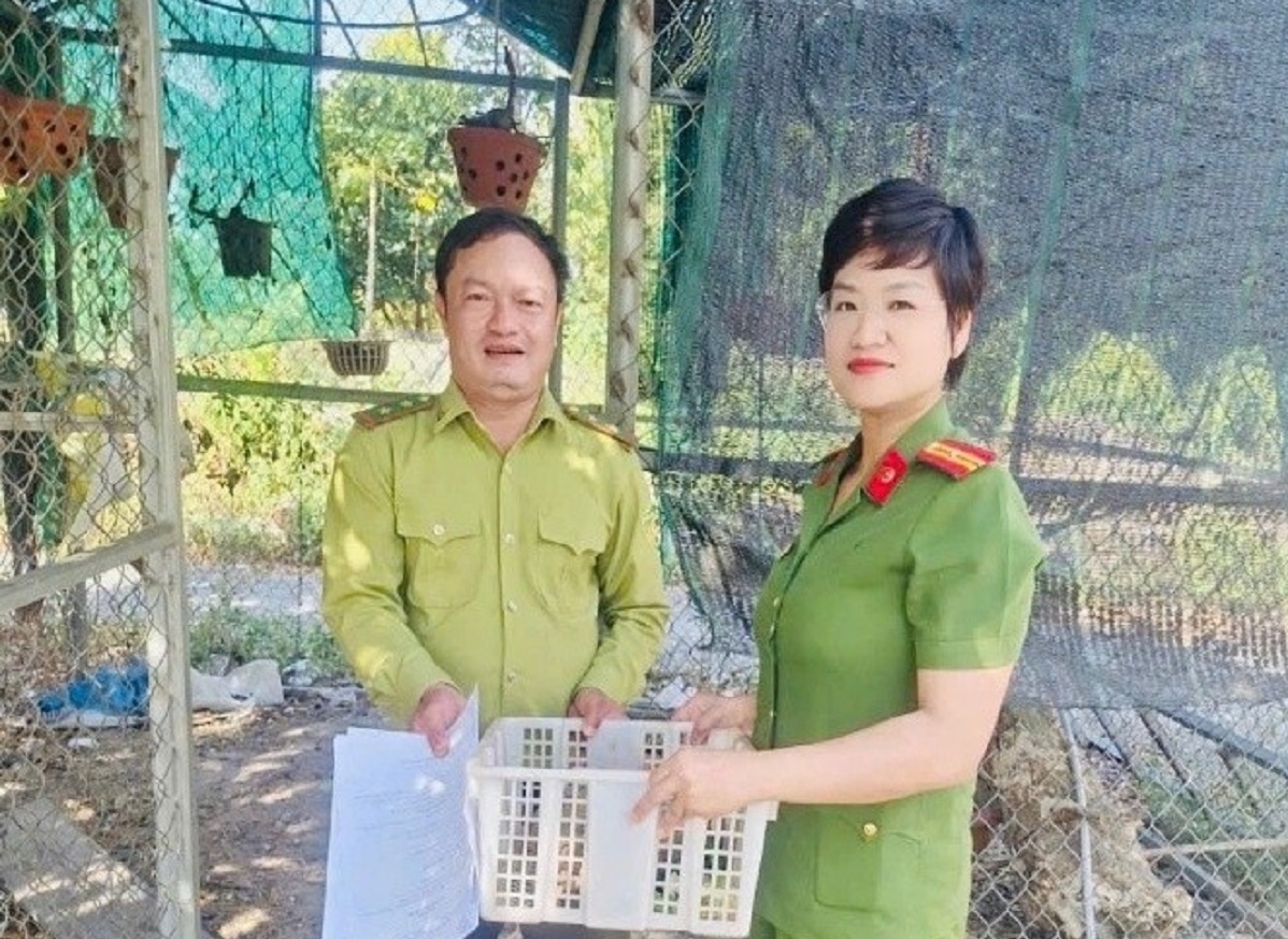 Công an xã Tuyên Quang bàn giao 2 cá thể rùa núi vàng cho kiểm lâm. Ảnh: CALĐ