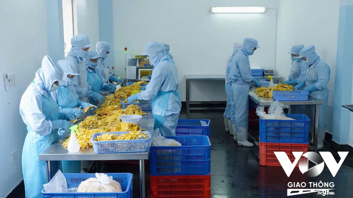 Cộng đồng doanh nghiệp khẳng định sẵn sàng cùng Đảng, Nhà nước biến các Nghị quyết của Đại hội thành động lực phát triển