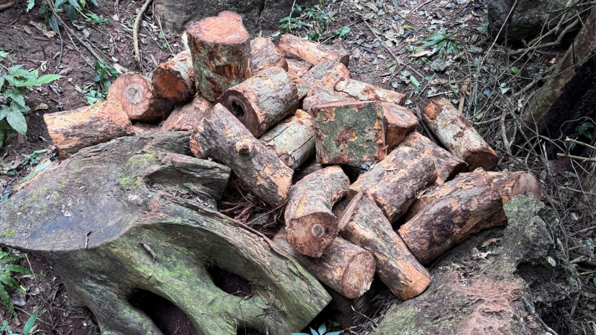 Tang vật thu giữ được tại hiện trường