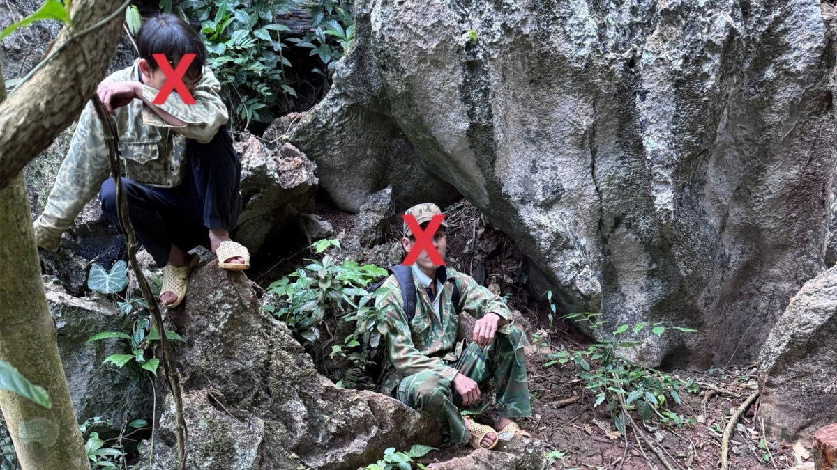 2 đối tượng sử dụng cưa xăng để khai thác rừng trái pháp luật tại hiện trường