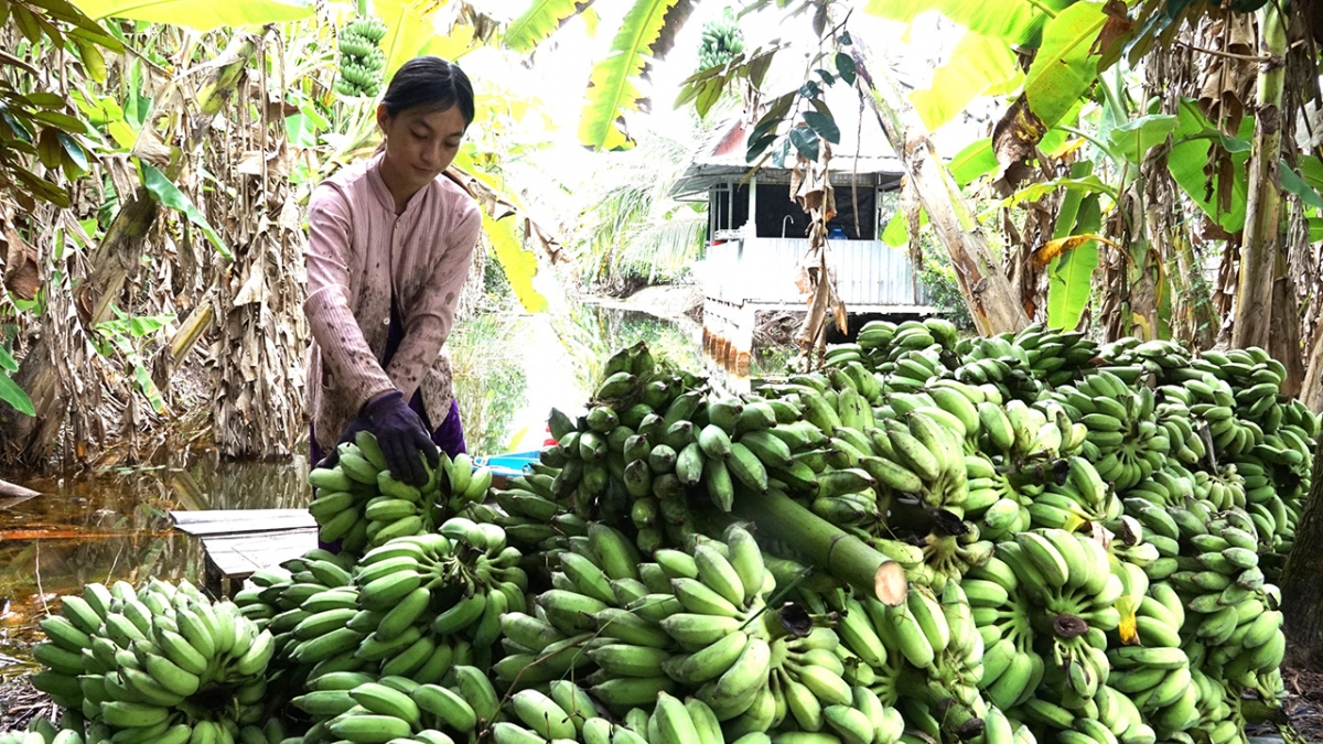 Trong chính sách hỗ trợ, có phương án nhằm tạo điều kiện tiếp cận vốn sản xuất, vươn lên.