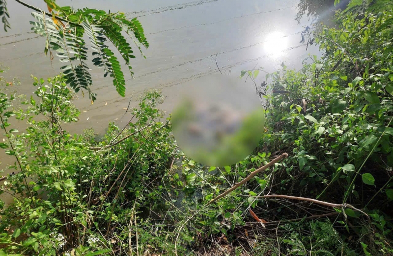 Hiện trường vụ việc.