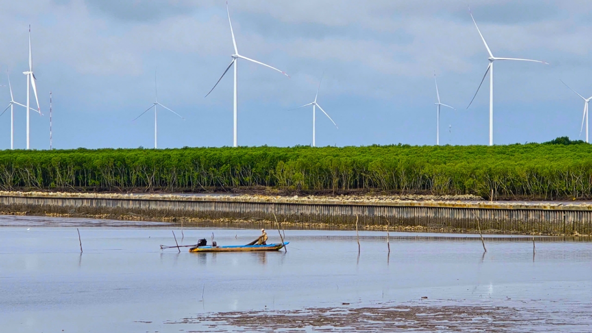 Sau sáp nhập, Cà Mau có thêm tiềm năng phát triển điện gió.