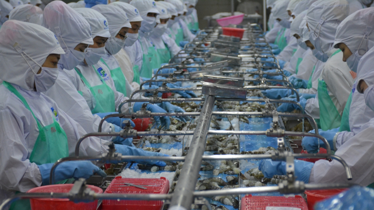 Theo kế hoạch, xuất khẩu thủy sản của Cà Mau từ nay đến 2030 đạt 17 tỷ USD.