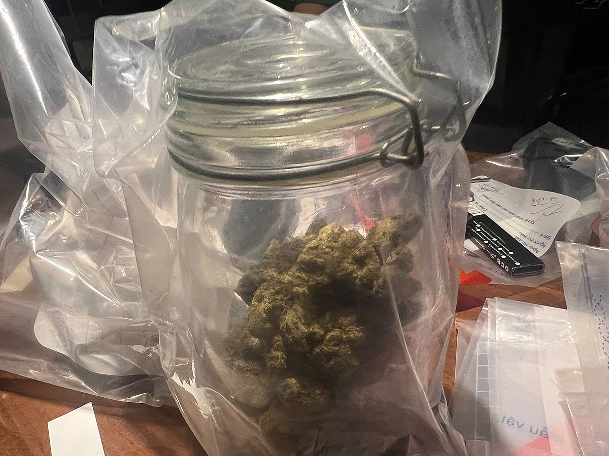 Cần sa bị thu giữ