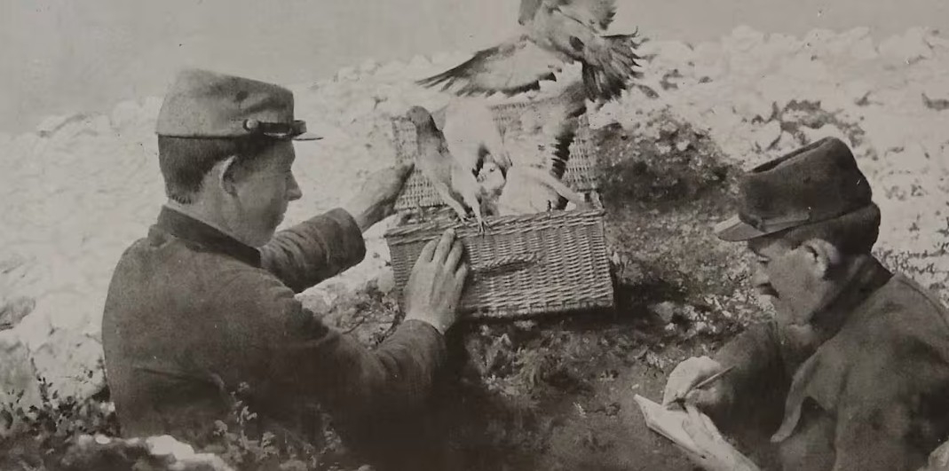 Ảnh minh họa: Getty