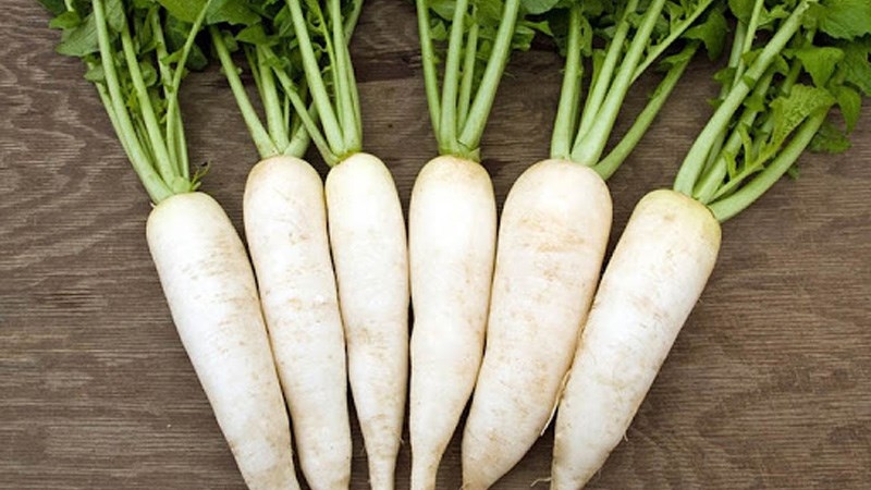 Củ cải trắng là thực phẩm ít calo, phù hợp với người đang kiểm soát cân nặng nhưng vẫn đảm bảo cung cấp các dưỡng chất thiết yếu cho cơ thể