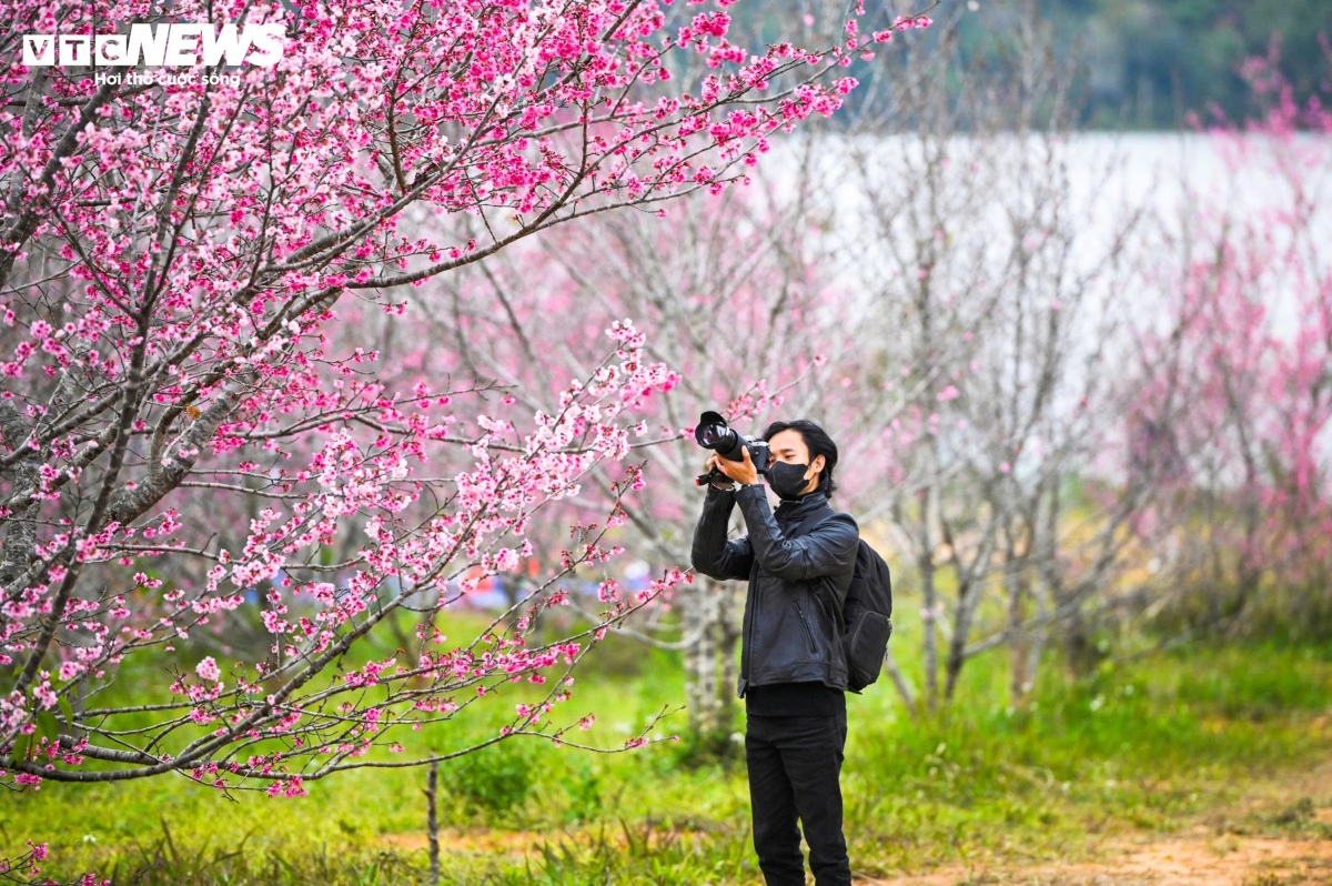 During the peak flowering season, the island becomes a popular destination for many photographers. More visitors come to admire and take photograph of the flowers, especially in the early morning and late afternoon.