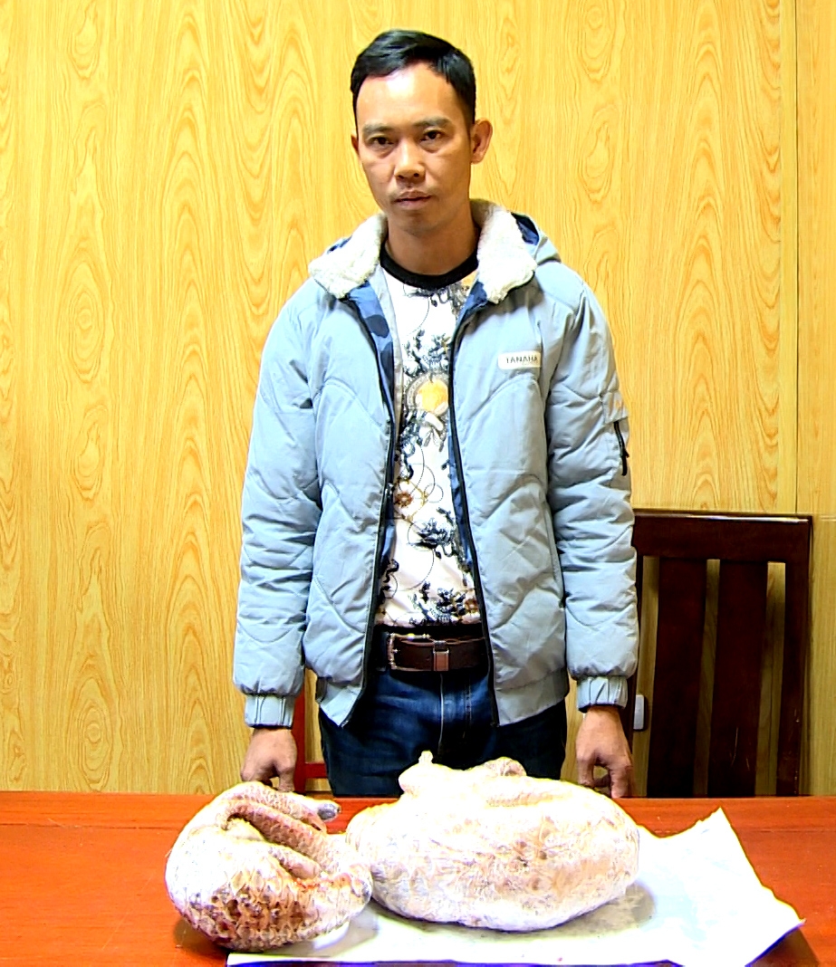 Đối tượng Phạm Văn Quảng và 2 cá thể tê tê thu được