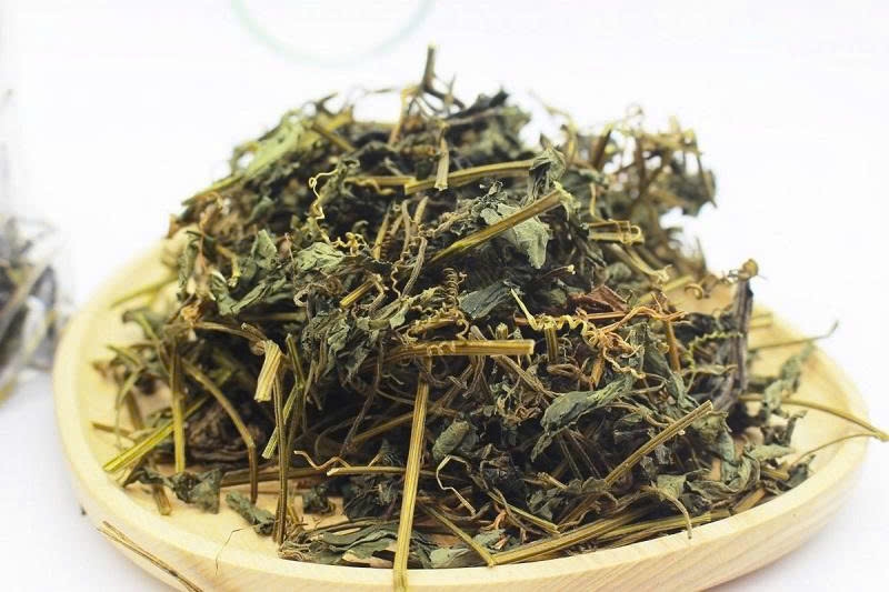 Giảo cổ lam là dược liệu có giá trị trong hỗ trợ chăm sóc sức khỏe nếu được sử dụng đúng cách và đúng đối tượng