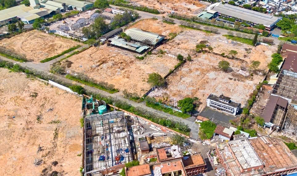 Khu vực 1 rộng 50,5ha  đã có 88% ha đất sạch - Ảnh: M.T