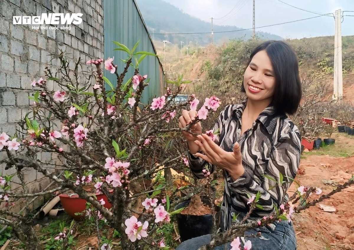 Chị Mai cố gắng giữ sự lạc quan trước những cánh hoa đào nở thắm dù Tết vẫn còn chưa đến.