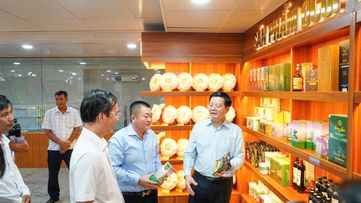 Phó thủ tướng Chính phủ Mai Văn Chính trong lần đến tham quan sản phẩm O.COP của công ty Trí Sơn