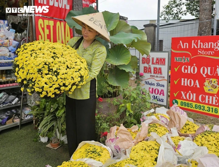 Sau 3 ngày, chị Thu Ba đã bán giúp bà con nông dân 1.000 chậu cúc mâm xôi.