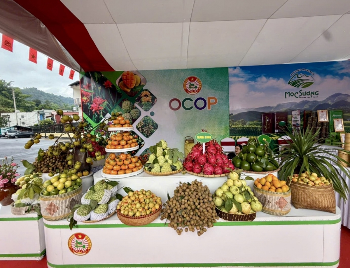 Sơn La đến nay đã có 214 sản phẩm OCOP, gấp gần 10 lần so với thời điểm 5 năm trước