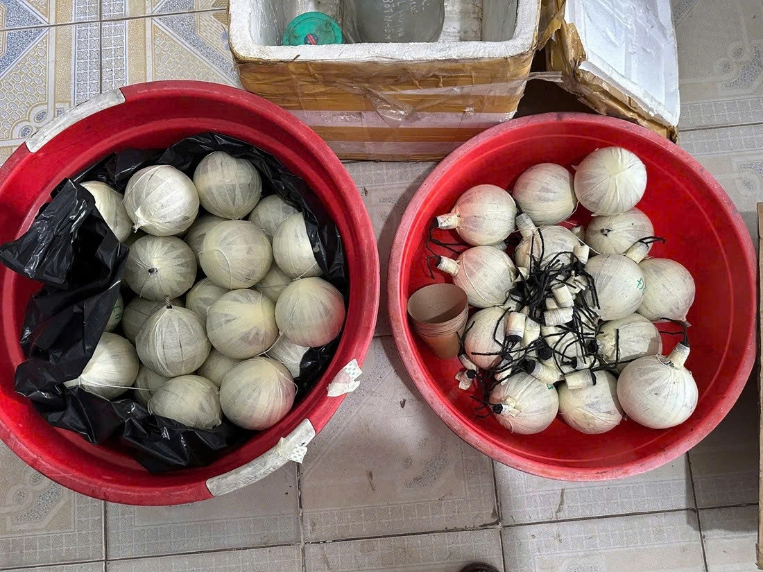 Tang vạt thu giữ. (Ảnh: Công an Nghệ An).