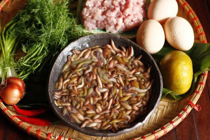 Rươi là thực phẩm có giá trị dinh dưỡng cao nếu được chế biến và sử dụng đúng cách