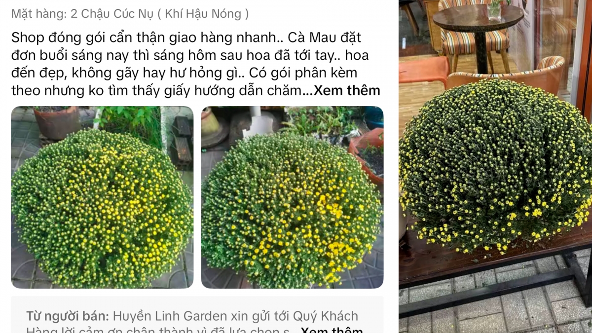 Đánh giá của khách hàng về dịch vụ vận chuyển, cũng như cách đóng gói hoa tết